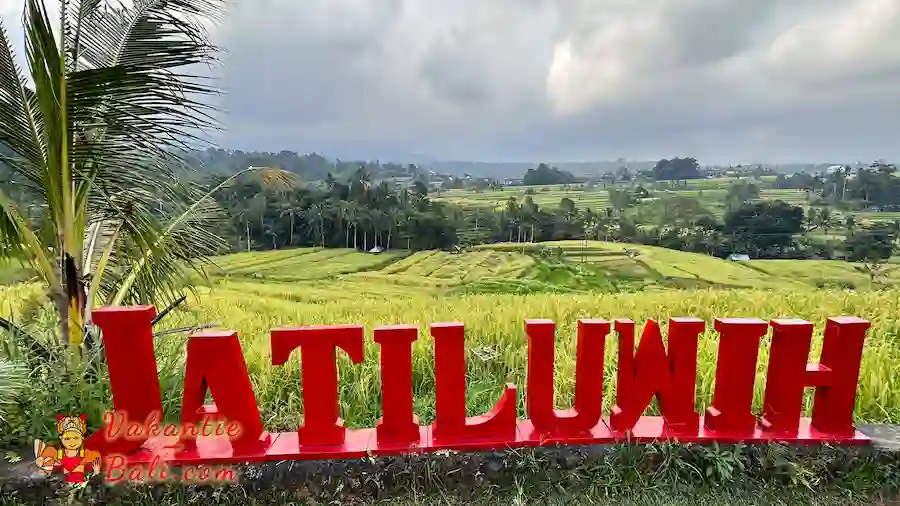 Rijstterrassen van Jatiluwih.