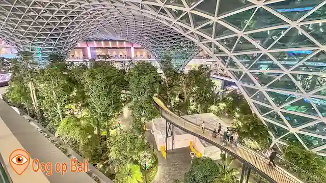 De tuin met het boomkroonpad op vliegveld Doha.