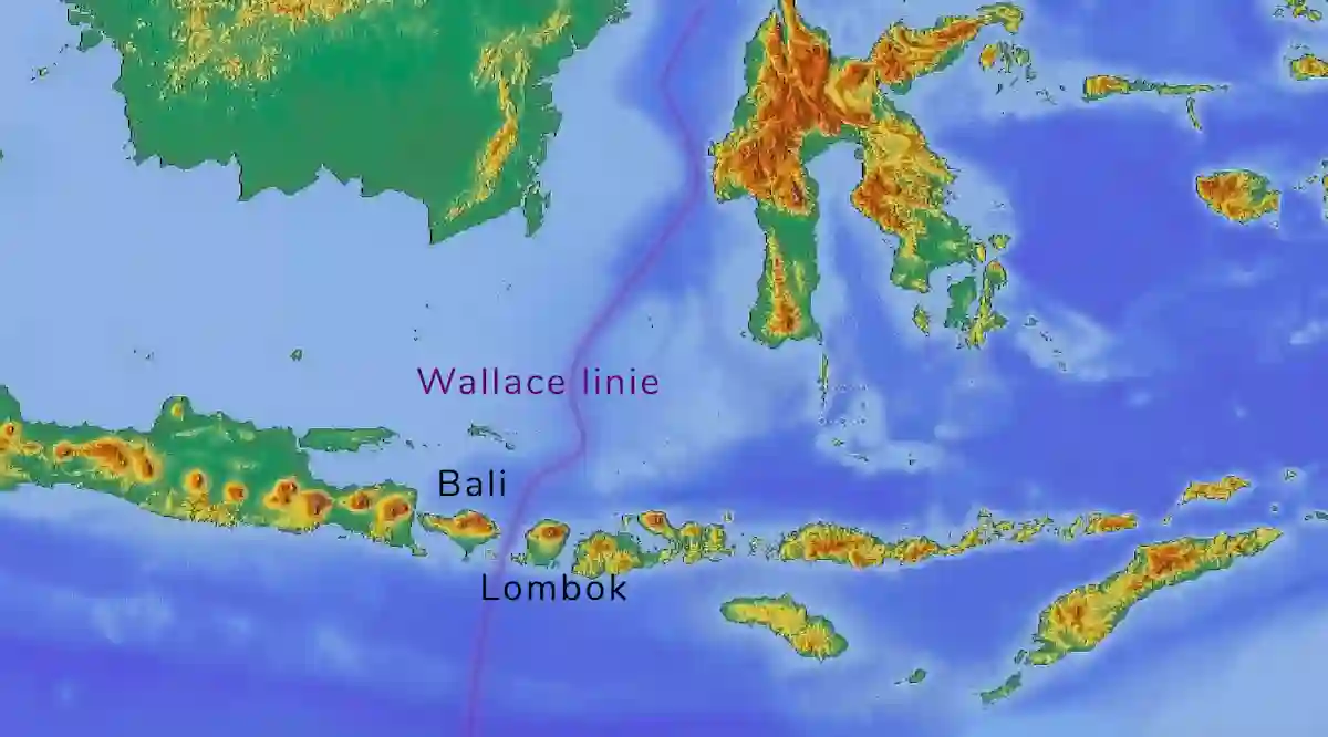 Kaart met Wallace linie.